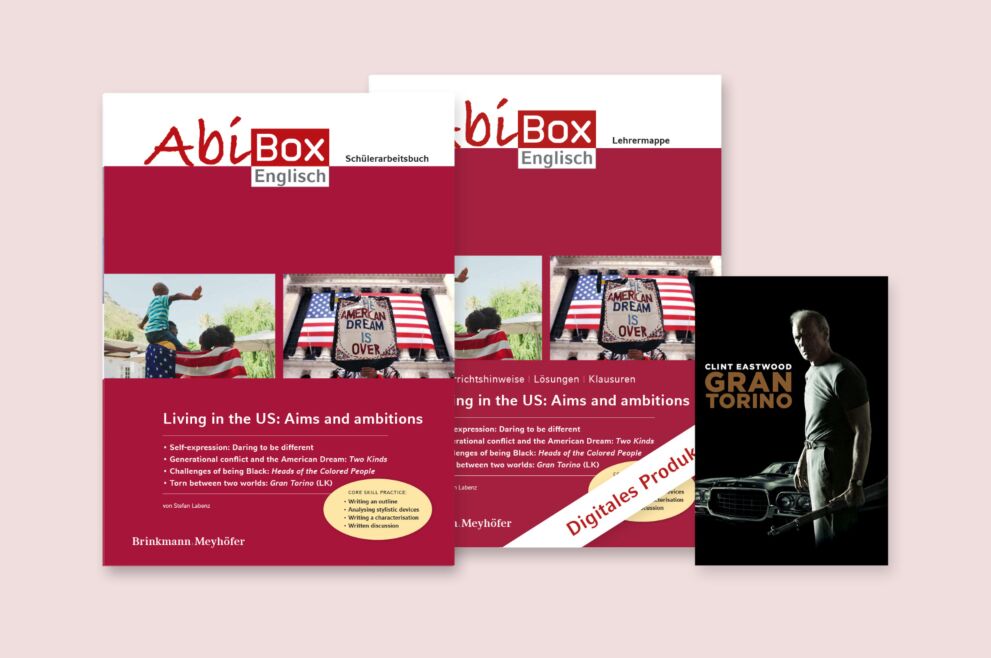 Living in the US: Aims and ambitions