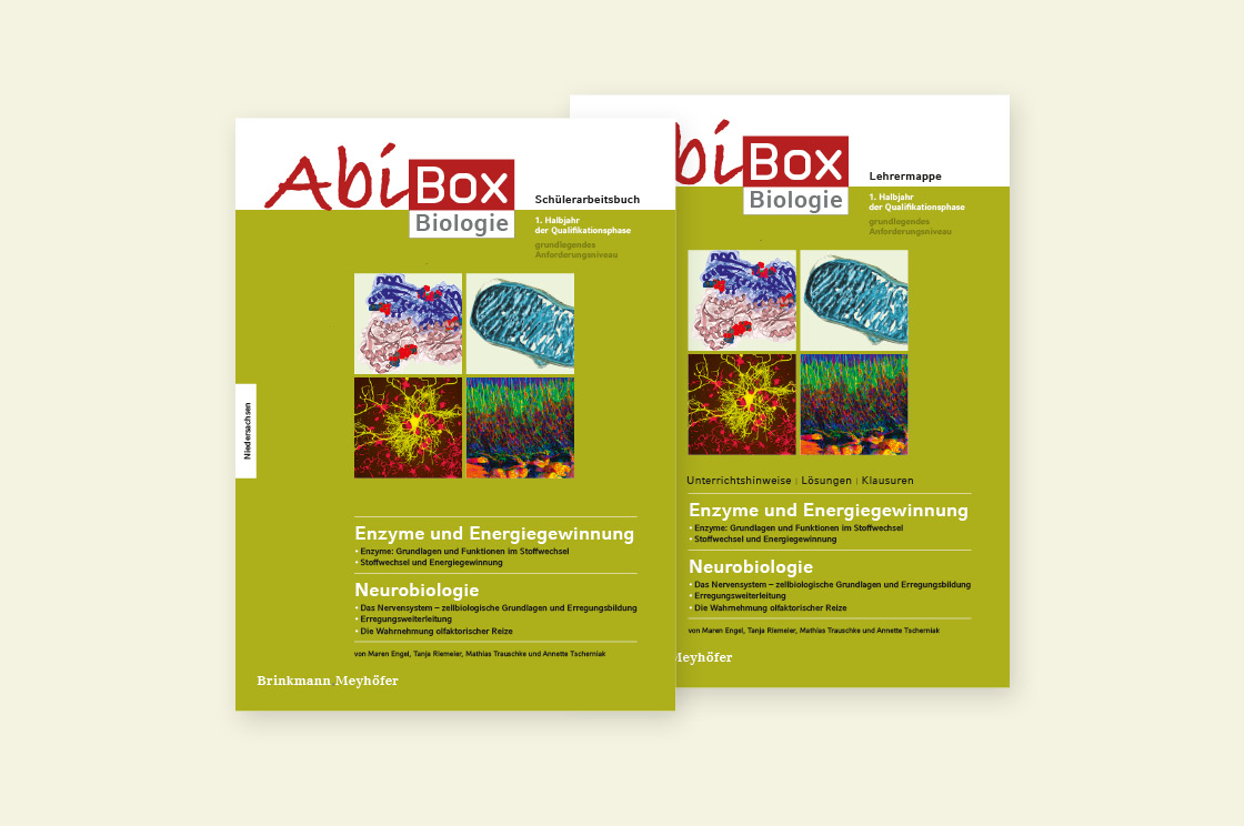 Abi-Box NDS Biologie QP 2024 1. Halbjahr gA: Enzyme und ...