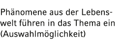 Phänomene aus der Lebenswelt führen in das Thema ein (Auswahl möglichkeit) 