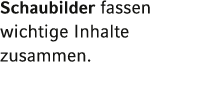 Schaubilder fassen wichtige Inhalte zusammen  