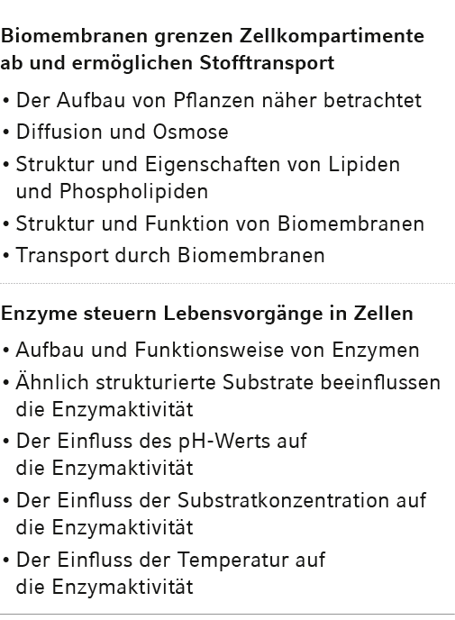 Biomembranen grenzen Zellkompartimente ab und ermöglichen Stofftransport Der Aufbau von Pflanzen näher betrachtet Dif   