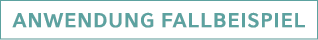 Anwendung Fallbeispiel